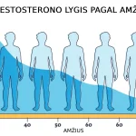 Testosteronas 40+: kaip natūraliai pakelti lygį be tablečių
