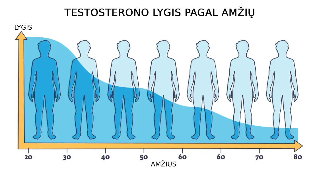 Testosteronas 40+: kaip natūraliai pakelti lygį be tablečių